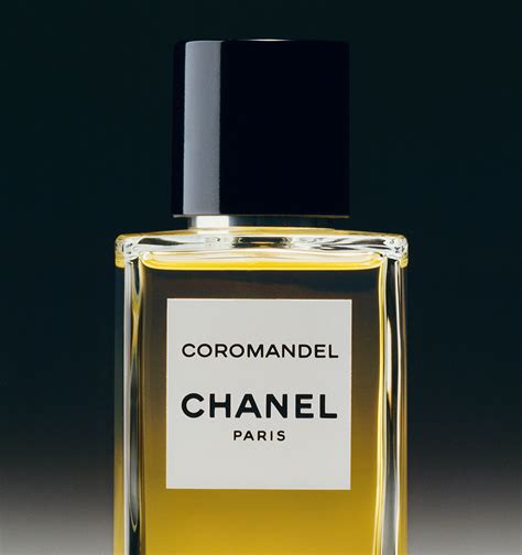 parfum bleu de chanel nocibe